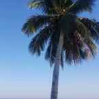 Review photo of Mina Tanjung Beach Hotel 2 from Kartika C. S.