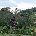 Imej Ulasan untuk Mikroba Hostel Dieng dari Ade S.