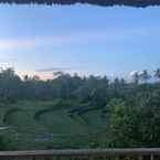 Review photo of Mesari Hotel Ubud from Leonardus S.