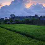 Review photo of Alam Kawi Ubud Resort & Spa 3 from Rudy S.