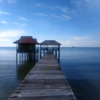 Review photo of Mangrove Eco Resort from Mohyunus M.