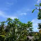 Review photo of Telaga Homestay & Spa Ubud 2 from Yuddi D. E. L.