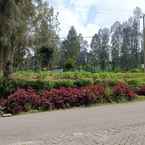 Hình ảnh đánh giá của Casa Bromo Homestay từ Hendra R.