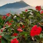 Ulasan foto dari Cozy Room at Homestay Pondok Merapi Selo 3 dari Arlan A.