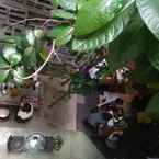 Review photo of Mingle Hostel Kuala Lumpur 3 from Muhammad S. A.