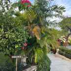 Review photo of La Joya Biu Biu Resort 7 from Cynthia N.