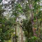 Ulasan foto dari Dusun Bambu Resort 5 dari Mansyur W.