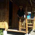 Review photo of Sharky Hostel Oslob from Evalee B.