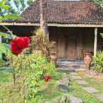 Hình ảnh đánh giá của Omah Tembi Homestay từ Saartje M.