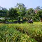 Review photo of Kampung Wisata Cinangneng 2 from Sri D.