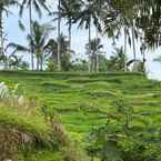 Ulasan foto dari Natya Resorts Ubud 4 dari Andika A.