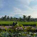 Review photo of Jembarati Family Lodge Yogyakarta from Sitta W. M.