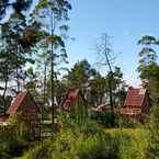 Imej Ulasan untuk Papandayan Camping Ground dari Syarifah F.