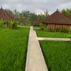 Review photo of Ubud Sawah Scenery & Homestay 3 from Dewi R. S.