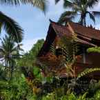 Review photo of Song Broek Jungle Resort from Afdal A.