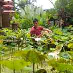 Ulasan foto dari Nara Ubud Cottage dari Edi S.