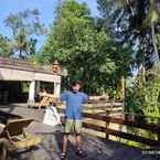 Review photo of Alam Penari Ubud from Martin K.