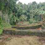 Ulasan foto dari Kampoeng Joglo Ijen 2 dari Rifky R. H.