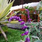 Review photo of Songan Homestay Bangli 2 from Syihabul U.