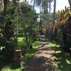 Review photo of Bumi Ubud Resort from Bismar A. F.