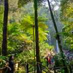 Review photo of Cilember Cottage & Lodge - Curug CIlember from Natalia N.