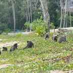 Ulasan foto dari Tinidee Hideaway Tonsai Beach Krabi (SHA PLUS +) 4 dari Wasusin K.