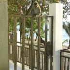 Review photo of Siam Beach Resort 2 from Chenchira C.