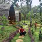 รูปภาพรีวิวของ Orangutan Bungalow จาก Muhammad F. L.