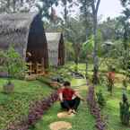 Review photo of Orangutan Bungalow from Muhammad F. L.