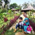 Review photo of Orangutan Bungalow 4 from Muhammad F. L.