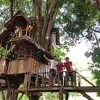 Review photo of Rabeang Pasak Treehouse Resort from Chai K. S.