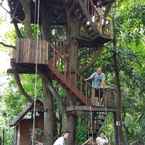 Review photo of Rabeang Pasak Treehouse Resort 2 from Chai K. S.