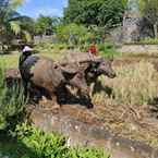 รูปภาพรีวิวของ Kampoeng Joglo Ijen 2 จาก Eldwin S.