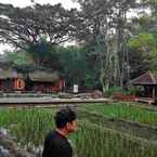 Ulasan foto dari Padi Heritage Hotel 3 dari Edi Z.