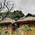 Review photo of Tam Coc Palm House from Nguyen B. D.