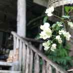 Ulasan foto dari Lanlay Homestay dari Ramavdee B.