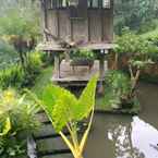 Review photo of The Kampung Resort Ubud 3 from Adelia A.