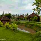 Hình ảnh đánh giá của Ubud Sawah Scenery & Homestay từ Anita R.