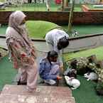 Ulasan foto dari Desa Bahasa Syariah Borobudur 2 dari Azizah D. S.