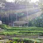 Imej Ulasan untuk Bobocabin Ubud, Bali dari Anthony B.