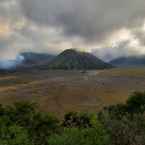 Review photo of Cemara Indah Hotel Bromo from Fenty F.