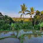 Review photo of Omah Bapak Ijen Eco House from Khairul S.