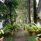 Review photo of Villa Mala Bogor from Maria U.
