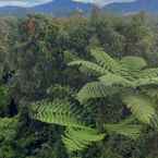 Review photo of Heritage Hotel Cameron Highlands from Rakis S.