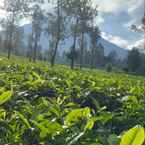 Ulasan foto dari Resort Agrowisata Perkebunan Tambi dari Nurul I. H.