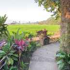 Review photo of Umasari Rice Terrace Villa 6 from Chua P. L.