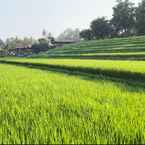 Review photo of Umasari Rice Terrace Villa 7 from Chua P. L.