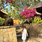 Hình ảnh đánh giá của Novotel Lombok Resort & Villas 3 từ Tiffany M.