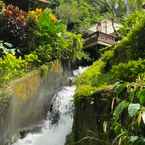 Review photo of Maya Ubud Resort & Spa from Magdalena M.