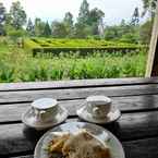 Ulasan foto dari Kebun Mawar Situhapa dari Elsin D. S.